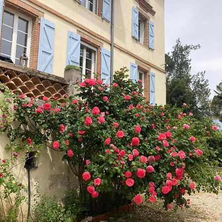 Domaine De Menerque - Petit Chateau Avec Piscine Lisle-sur-Tarn Exterior foto
