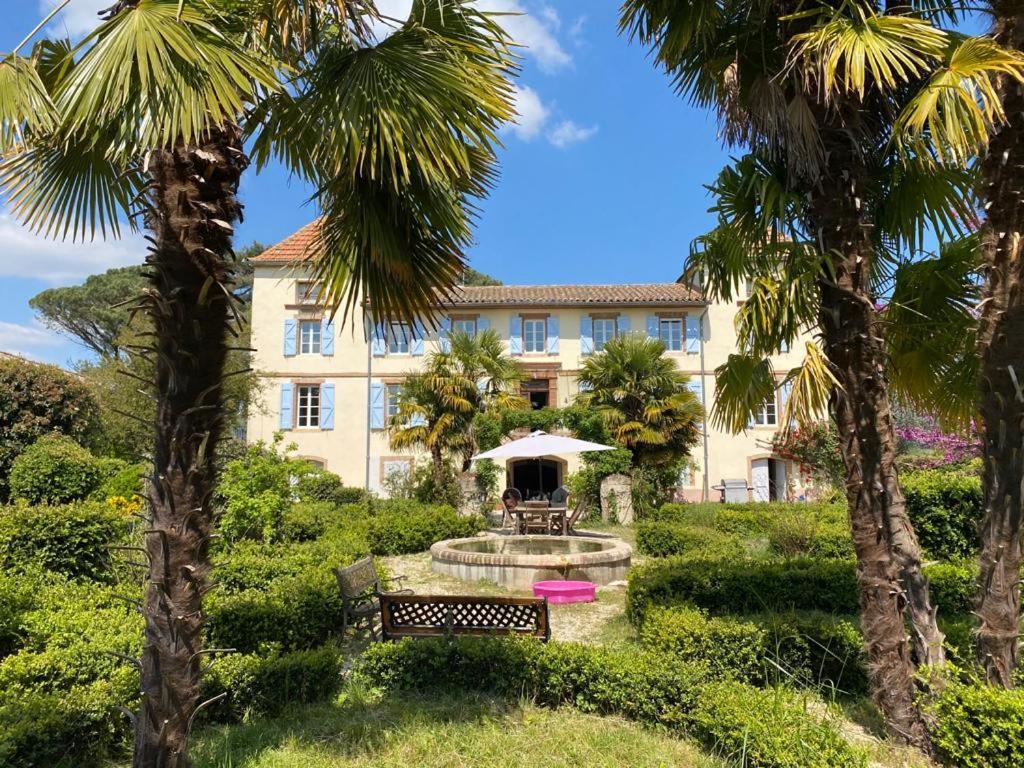 Domaine De Menerque - Petit Chateau Avec Piscine Lisle-sur-Tarn Exterior foto