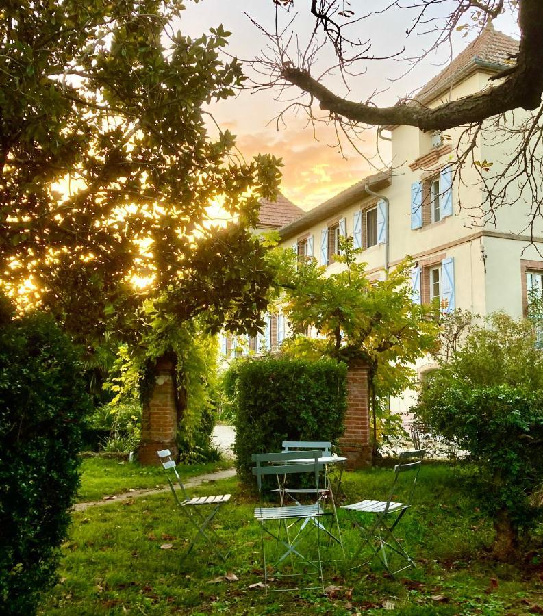 Domaine De Menerque - Petit Chateau Avec Piscine Lisle-sur-Tarn Exterior foto