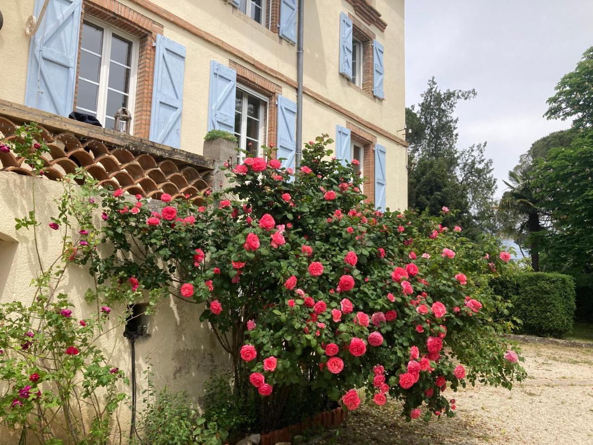 Domaine De Menerque - Petit Chateau Avec Piscine Lisle-sur-Tarn Exterior foto