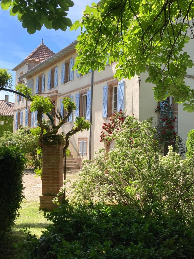 Domaine De Menerque - Petit Chateau Avec Piscine Lisle-sur-Tarn Exterior foto
