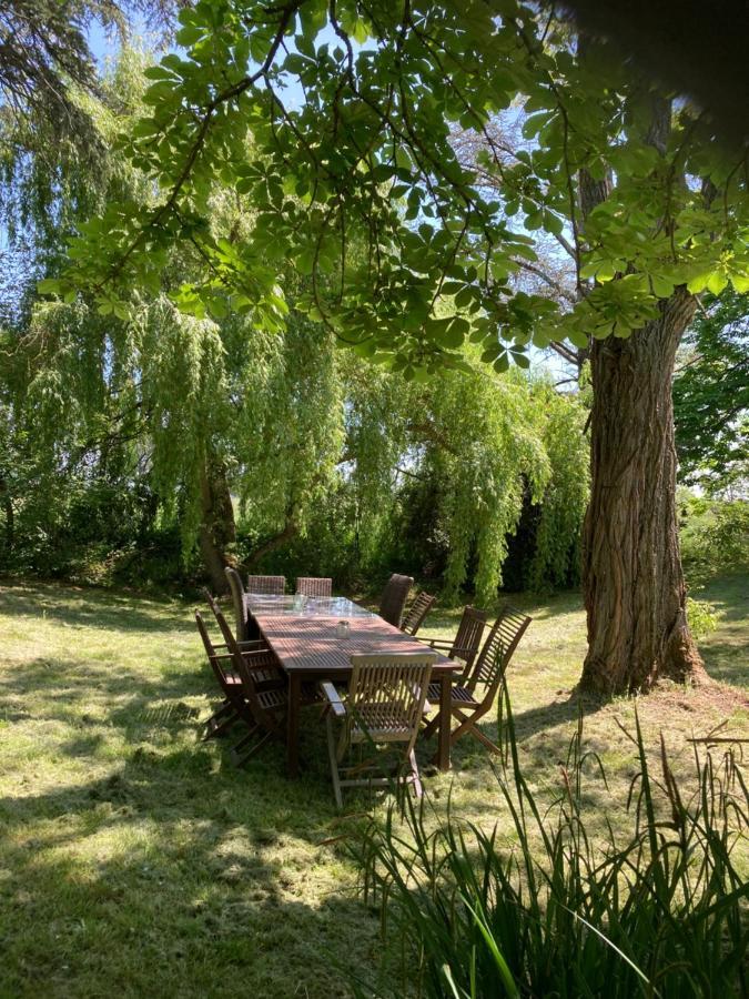 Domaine De Menerque - Petit Chateau Avec Piscine Lisle-sur-Tarn Exterior foto