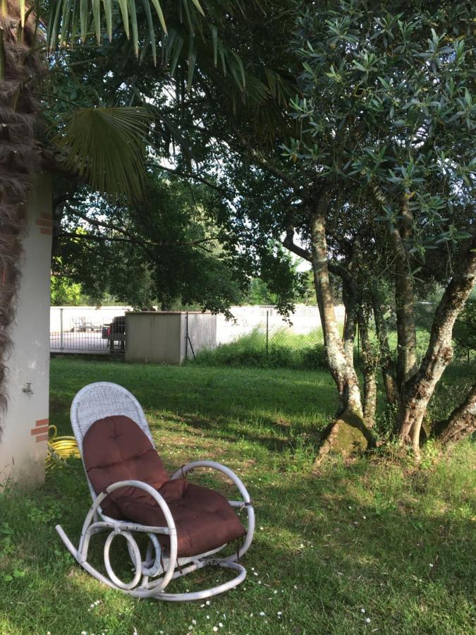 Domaine De Menerque - Petit Chateau Avec Piscine Lisle-sur-Tarn Exterior foto