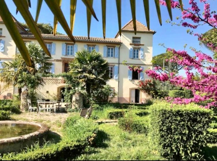 Domaine De Menerque - Petit Chateau Avec Piscine Lisle-sur-Tarn Exterior foto