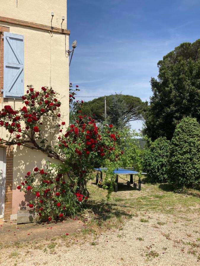 Domaine De Menerque - Petit Chateau Avec Piscine Lisle-sur-Tarn Exterior foto